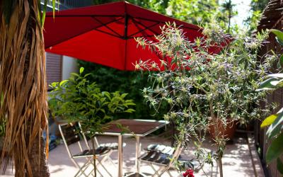 Camera Tripla Luxury