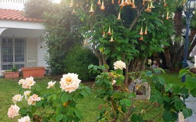 Appartamento con 3 Camere da Letto e Vista Giardino - Dependance