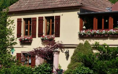 Appartement 1 Chambre