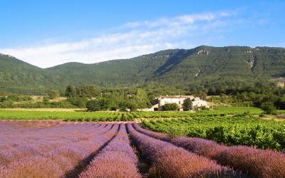 Maison 3u00a0Chambres