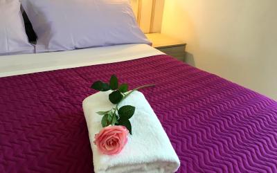 Appartamento con 1 Camera da Letto