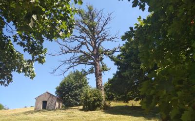 Appartamento con Vista Giardino