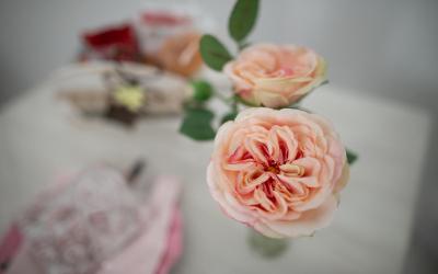 Camera Matrimoniale/Doppia con Letti Singoli