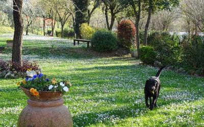 Appartamento con 1 Camera da Letto