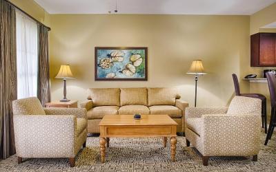 Deluxe King Suite