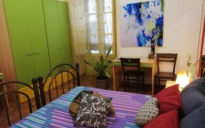 Camera King Standard