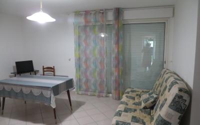 Appartement 1 Chambre