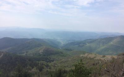 Appartement 1 Chambre Appartement 1 Chambre