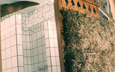 Chalet 1 Chambre Chalet 1 Chambre