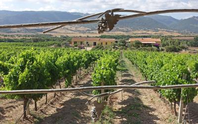 Appartamento con Vista Giardino