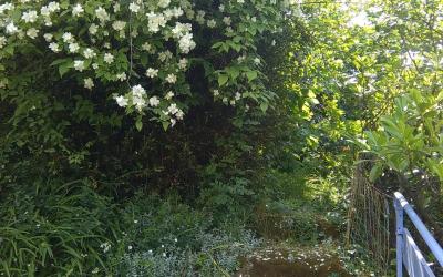 Chambre Lits Jumeaux Standard avec Vue sur Jardin