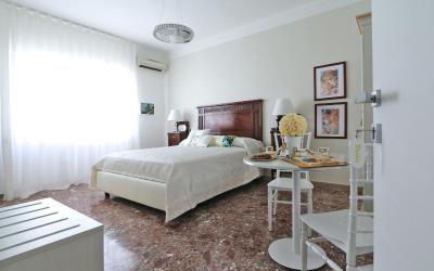 Camera King Standard