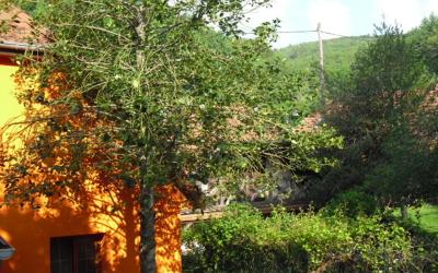 Maison 2u00a0Chambres Maison 2u00a0Chambres