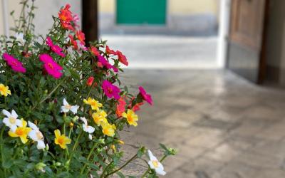 Appartamento - Piano Terra