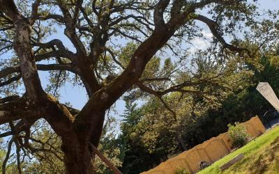 Appartamento Monolocale