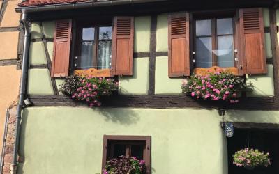 Appartement 1 Chambre