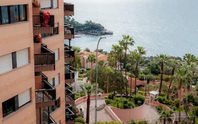 Appartement 1 Chambre