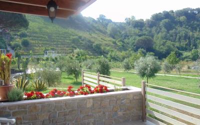 Camera King con Vista Giardino