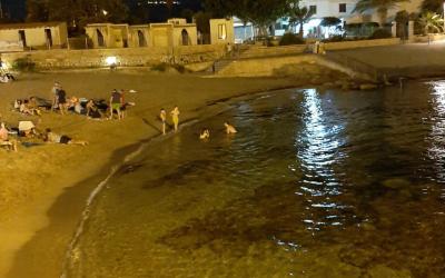 Appartamento con 1 Camera da Letto