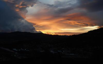 Appartamento con Vista Giardino