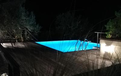 Appartement - Rez-de-Chaussu00e9e