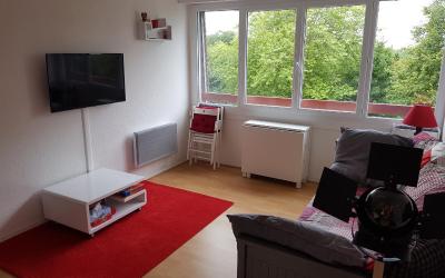 Appartement 1 Chambre