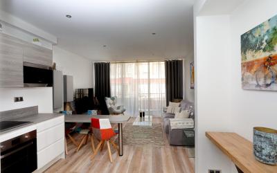 Appartement 1 Chambre