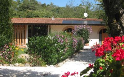 Appartamento con 1 Camera da Letto