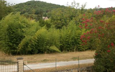Chambre Double - Vue sur Jardin
