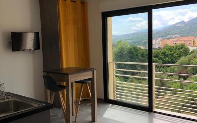 Appartement 1 Chambre