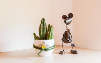 Appartamento con 1 Camera da Letto