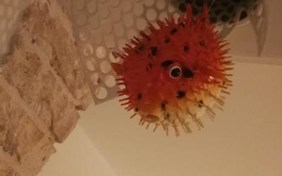 Chambre Double Confort