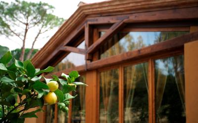 Camera Matrimoniale/Doppia con Letti Singoli