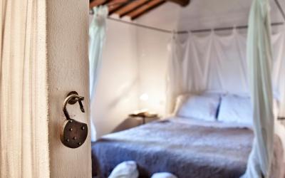 Camera King Superior 