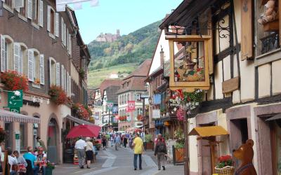 Appartement 1 Chambre