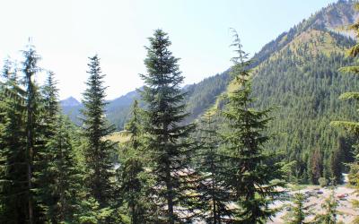 Apartment with Mountain View - L519