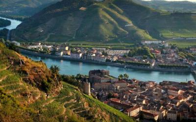 Appartement 1 Chambre Appartement 1 Chambre