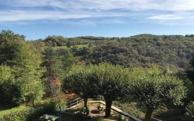 Suite - Vue sur Jardin Suite - Vue sur Jardin