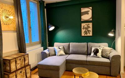 Appartement 1 Chambre En Tu00eate u00e0 Tu00eate