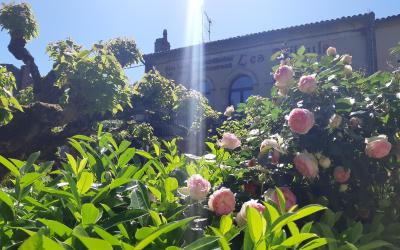 Studio Supu00e9rieur