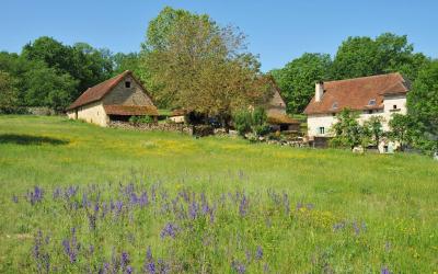 Cottage Le Rosier Blanc Cottage Le Rosier Blanc