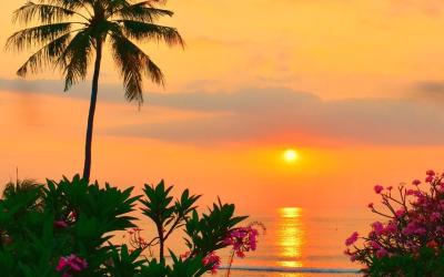 Royal Suite dengan Pemandangan Laut Royal Suite dengan Pemandangan Laut
