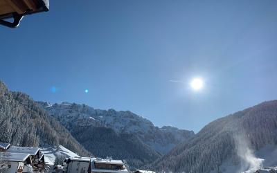 Camera Matrimoniale/Doppia con Letti Singoli con Sauna