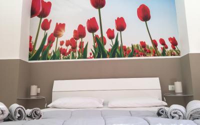 Casa con 1 Camera da Letto