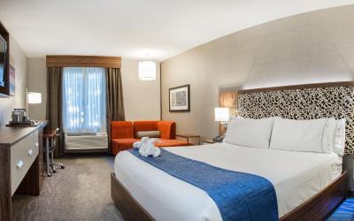 Standard King Room with Extra Space