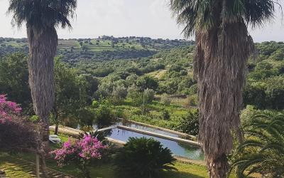 Ampia Camera Matrimoniale