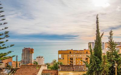 Appartement 1 Chambre