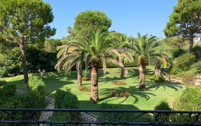 Appartement 1 Chambre Appartement 1 Chambre