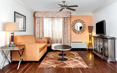 One-Bedroom King Suite