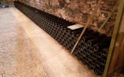 Appartement - Rez-de-Chaussu00e9e Appartement - Rez-de-Chaussu00e9e